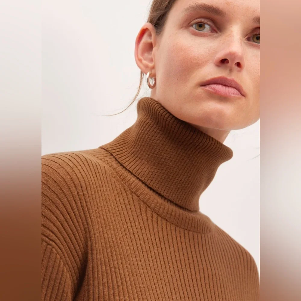 Everlane | Medium Burnt Orange Camel Cotton Wool Turtleneck Dress - Picture 2 of 9
